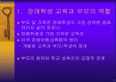 정신지체인의 전환교육과 평생교육 4페이지