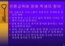 정신지체인의 전환교육과 평생교육 23페이지