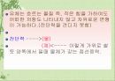 유체의 정의와 특성 4페이지