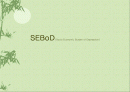 SEBoD (Socio Economic Burden of Depression) 1페이지
