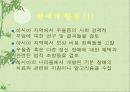 SEBoD (Socio Economic Burden of Depression) 11페이지