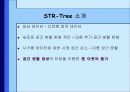 STR-Tree : 계층 공간 분할을 이용한 다차원 정적 데이터 색인 3페이지