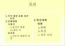 미국 대중매체의 현황과 특성 2페이지