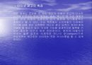 인터넷광고의 특성 3페이지