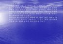 인터넷광고의 특성 24페이지