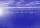 인터넷광고의 특성 28페이지
