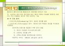 인터넷광고 13페이지
