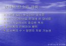 지구환경(보고서) 20페이지