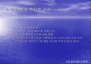 지구환경(보고서) 38페이지