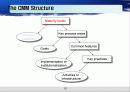 Capablitity Maturity Model & Spice (CMM) 12페이지