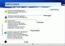 Capablitity Maturity Model & Spice (CMM) 14페이지