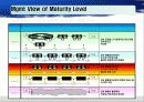 Capablitity Maturity Model & Spice (CMM) 20페이지