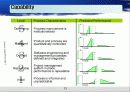 Capablitity Maturity Model & Spice (CMM) 21페이지