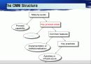 Capablitity Maturity Model & Spice (CMM) 22페이지