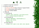 인상주의 조각가 및 작품소개 2페이지