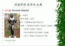 인상주의 조각가 및 작품소개 7페이지