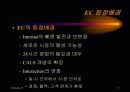 전자 상거래의 정의와 보안 문제 5페이지