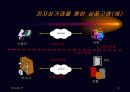 전자 상거래의 정의와 보안 문제 8페이지
