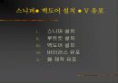 인터넷보안 & 해킹[전자우편, DOS, 웹서버 공격, 주요 해킹 기법, 관련법] 13페이지