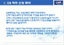[마케팅] OB 맥주의 시장 마케팅 전략 제안 3페이지