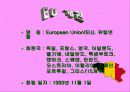 유럽연합 3페이지