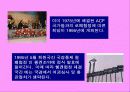 유럽연합 13페이지