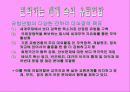 유럽연합 17페이지