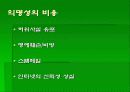 익명성의 사회적 비용 6페이지