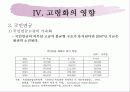 고령화사회 13페이지