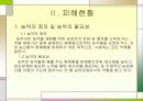 농약으로인한 환경오염 6페이지