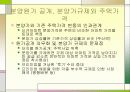 8.31 대책의 기대효과와 쟁점 22페이지