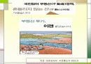 8.31 대책의 기대효과와 쟁점 27페이지