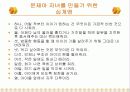 문제아(問題兒 , problem child )의 발생 원인과 대책 및 교육  20페이지