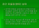 학교 부적응의 실태와 대책 7페이지