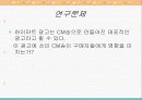 하이마트 광고 CM의 효과 4페이지