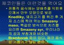 체코의 의식주 및 건축물 4페이지