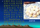 체코의 의식주 및 건축물 5페이지