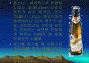 체코의 의식주 및 건축물 6페이지