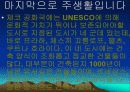 체코의 의식주 및 건축물 7페이지
