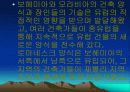 체코의 의식주 및 건축물 10페이지