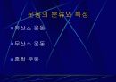[체육학]운동과 건강 11페이지