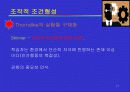 [교육학]행동주의 및 인지주의 17페이지