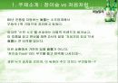 [마케팅] 소주 참이슬과 처음처럼 분석 3페이지