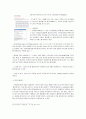 블로그와 UCC를 활용한 마케팅 전략과 효과(A+레포트) 20페이지