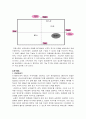 화이트 마케팅 전략 분석-비교분석, SWOT, STP, 5-force, 4P(A+레포트) 19페이지