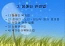 장애인고용촉진법 및 고용관련법 3페이지