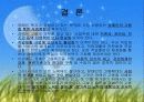 장애인고용촉진법 및 고용관련법 15페이지
