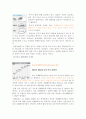 맞벌이 가족에 관한 전반적인 조사 후 맞벌이 가족을 위한 프로그램 조사 4페이지