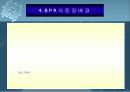 BPR시스템 8페이지
