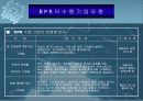 BPR시스템 11페이지